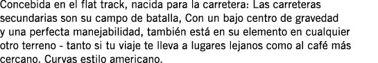 Concebida en el flat track, nacida para la carretera: Las carreteras secundarias son su campo de batalla, Con un bajo   