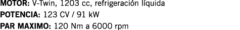 MOTOR: V-Twin, 1203 cc, refrigeración líquida POTENCIA: 123 CV   91 kW PAR MAXIMO: 120 Nm a 6000 rpm